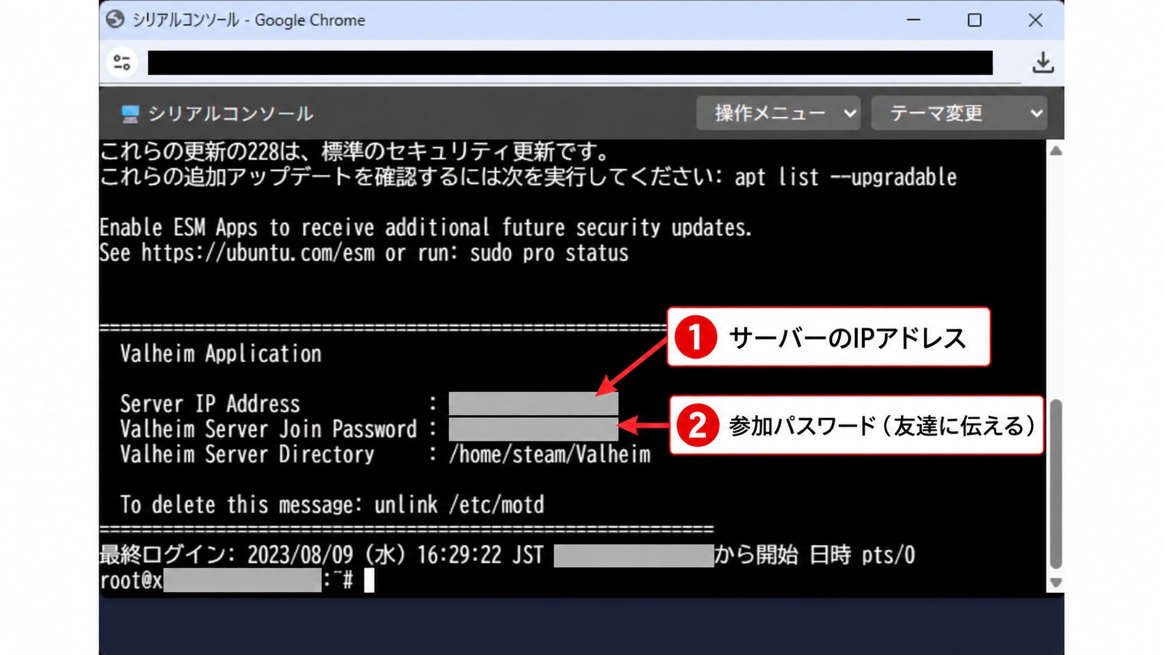 シリアルコンソールにrootでログインした画面。Server IP AddressとValheim Server Join Passwordが表示されている（値は伏せた状態）