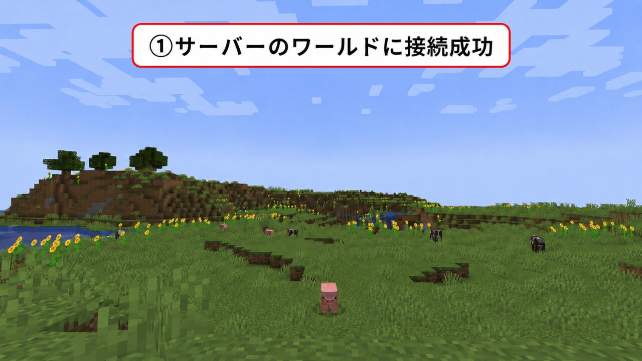 マイクラのサーバーワールドに接続できた直後の画面。昼の平原が表示されている