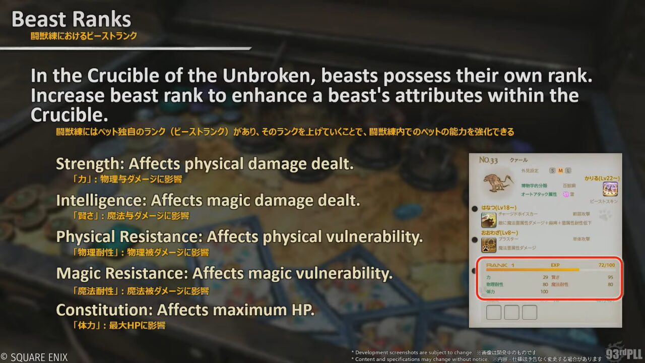 闘獣練のビーストランクと5つのパラメーター(力・賢さ・物理耐性・魔法耐性・体力)を示したスライド