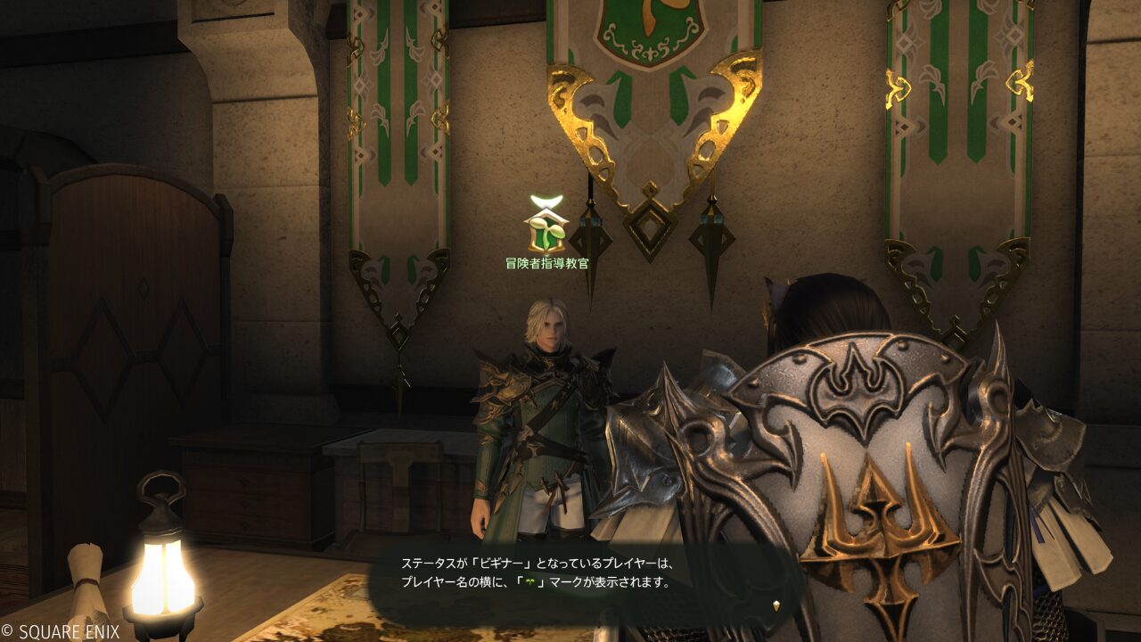 FF14の冒険者指導教官が若葉マーク（ビギナー）の仕組みを説明している場面