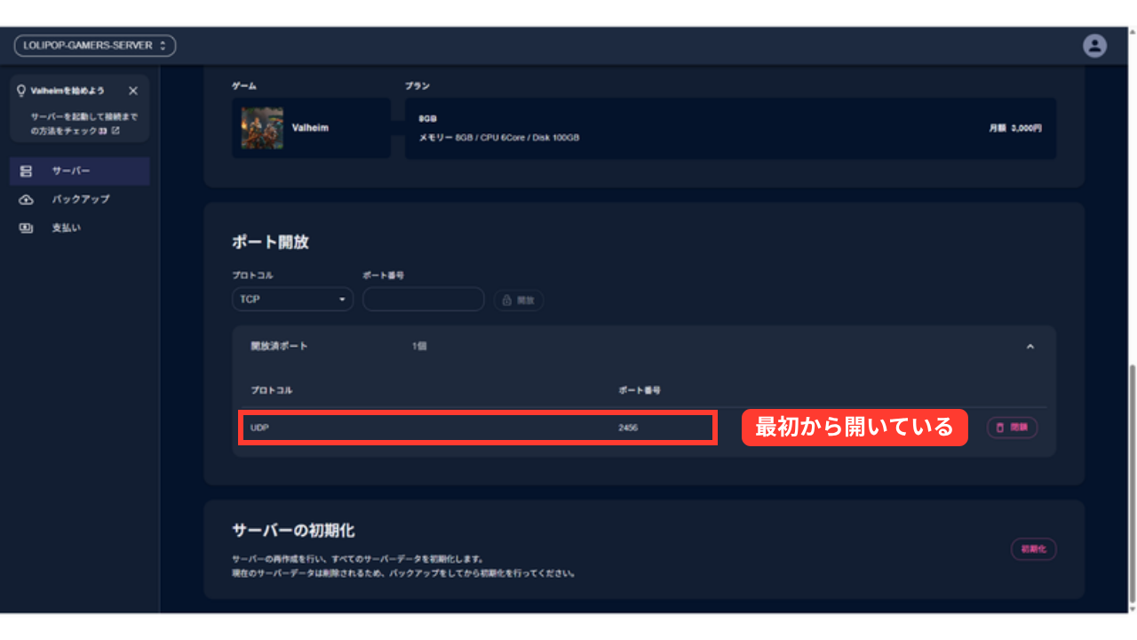 詳細タブのポート開放。開放済ポートが1個で、プロトコルUDP・ポート番号2456と表示されている