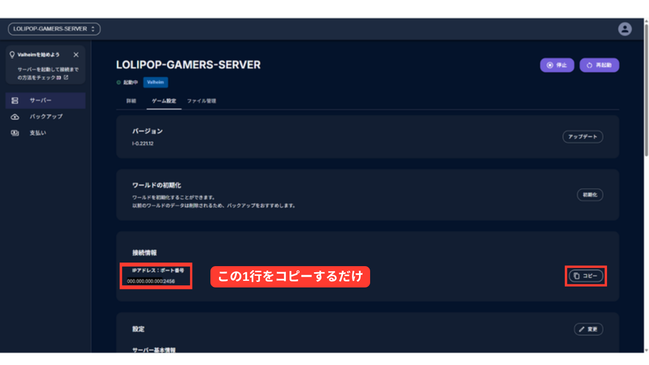 ゲーム設定タブ。接続情報にIPアドレスとポート番号が1行で表示され、右にコピーボタンがある